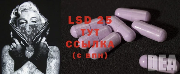 PSILOCYBIN Абинск