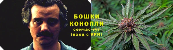ECSTASY Абаза