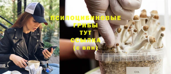 ECSTASY Абаза