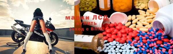ECSTASY Абаза